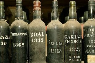Festa do Vinho da Madeira 2024