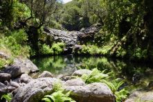 Madeira Nature Festival 2021